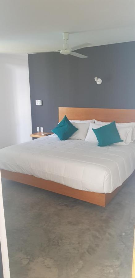 Casa Kabia Apartment Rio Verde Ngoại thất bức ảnh